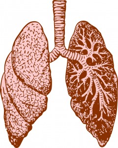 lungs and breath